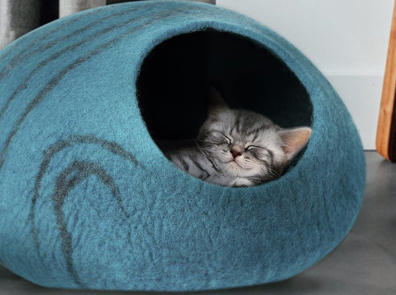 a kitten sleeps in the cat cave 