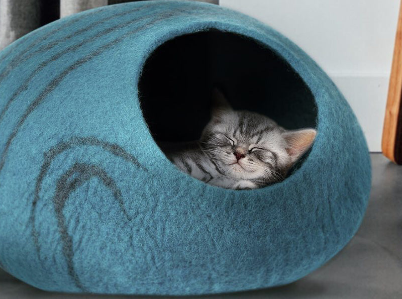 a kitten sleeps in the cat cave