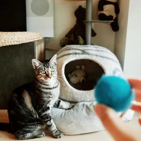 cat and cat cave with wool ball