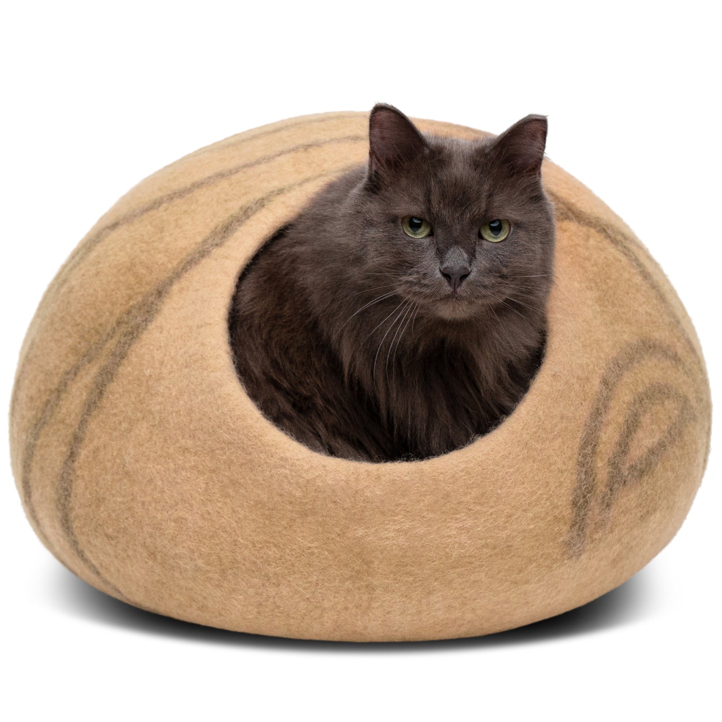 a cat sits inside a cat cave