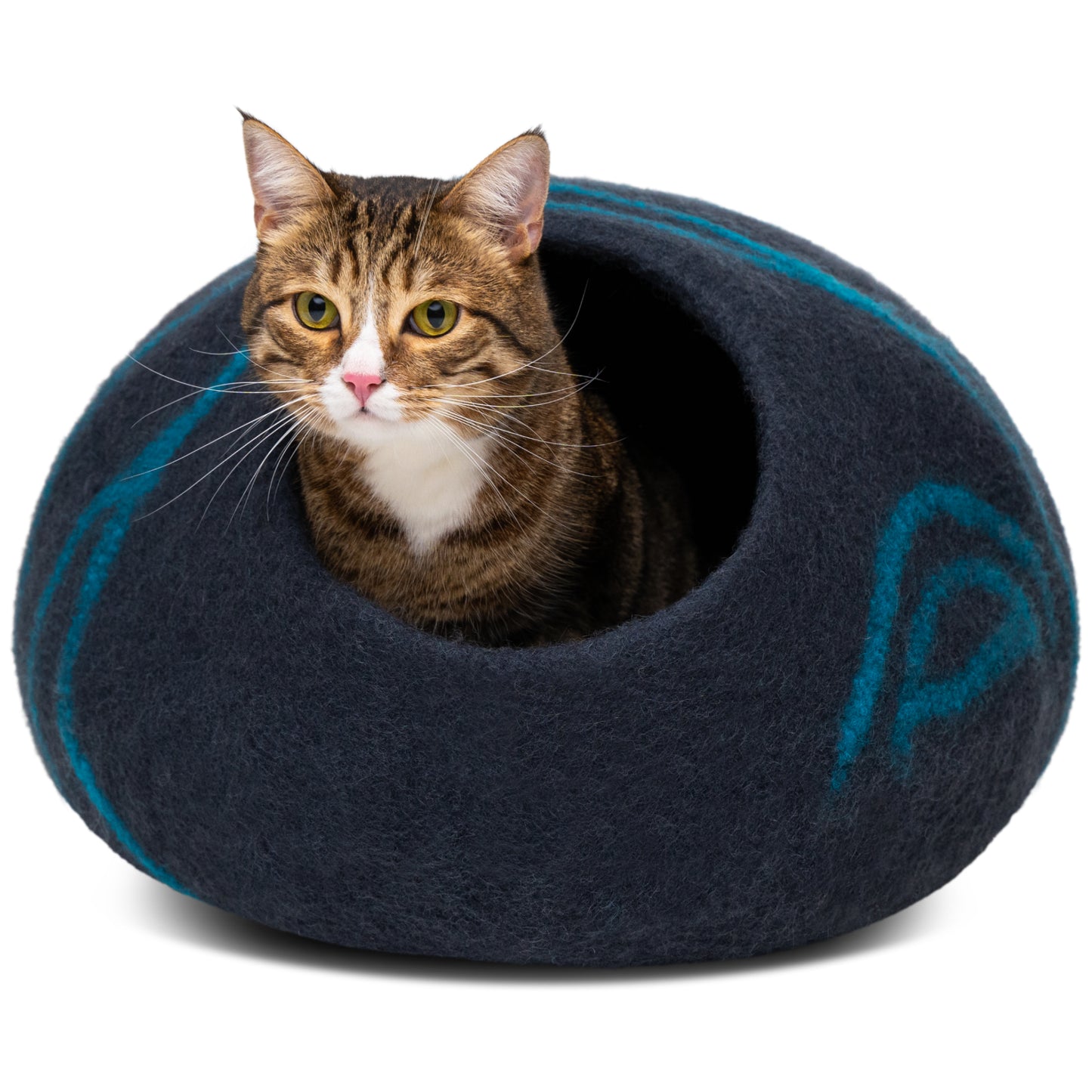 a cat sits inside a black aqua cat cave