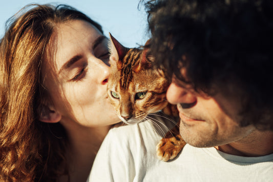 cat with man and woman 