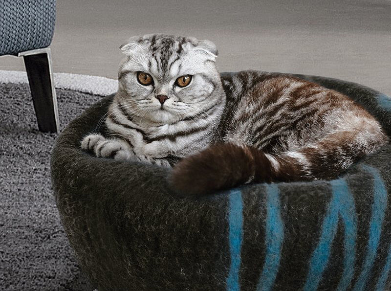a cat sitting on a meowfia cat cave