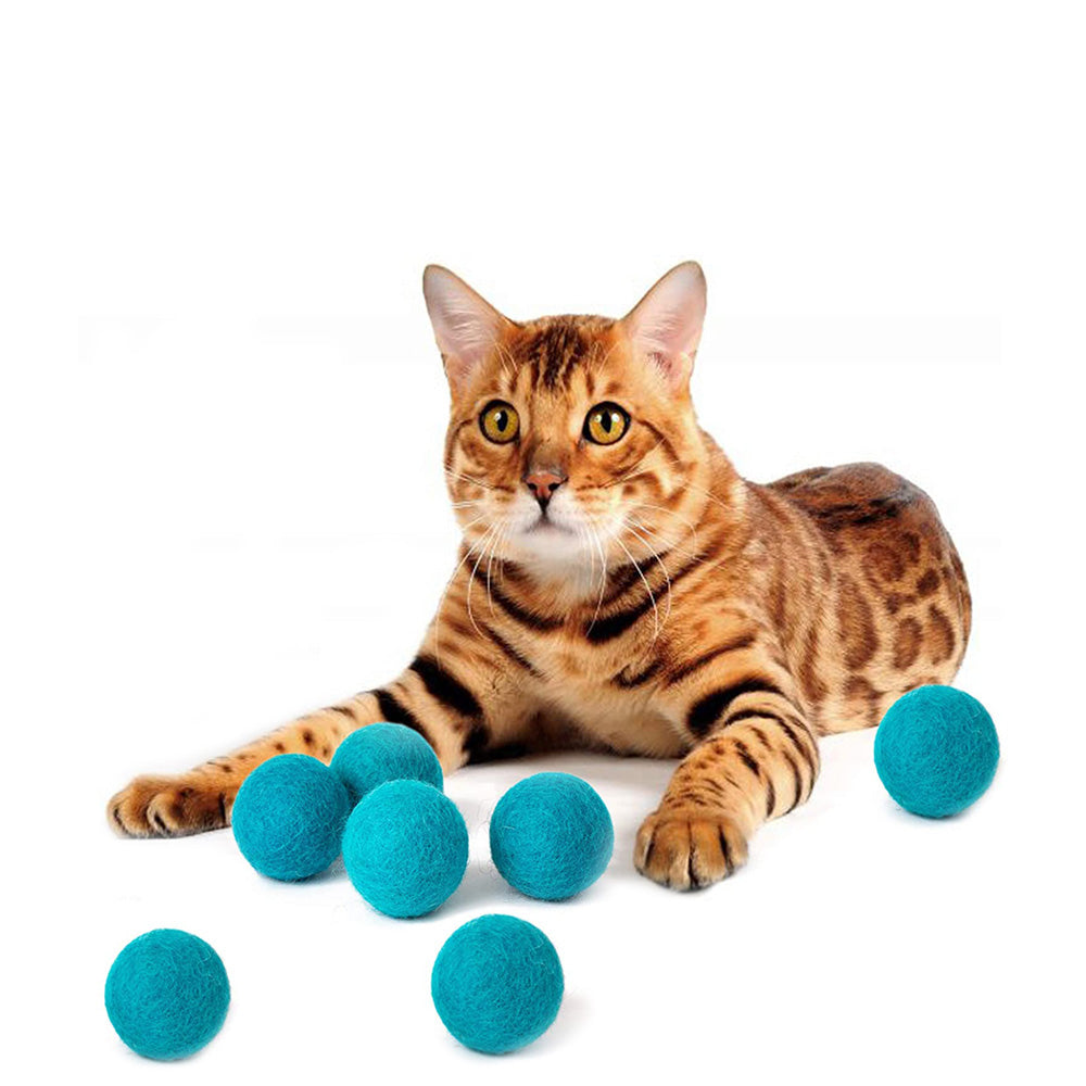 cat with Wool Ball Toys