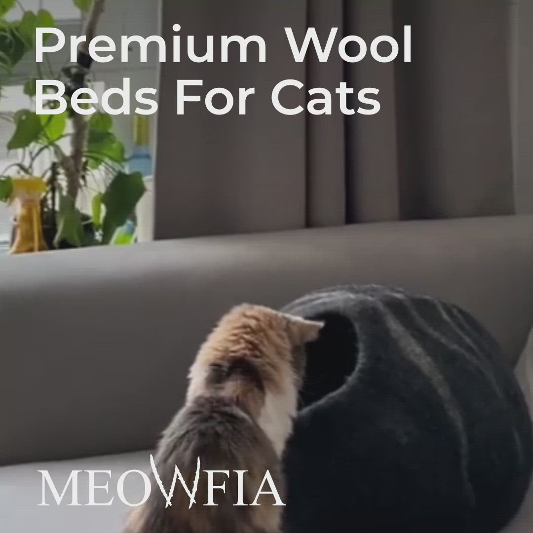 video about premium wool meowfia beds for cats